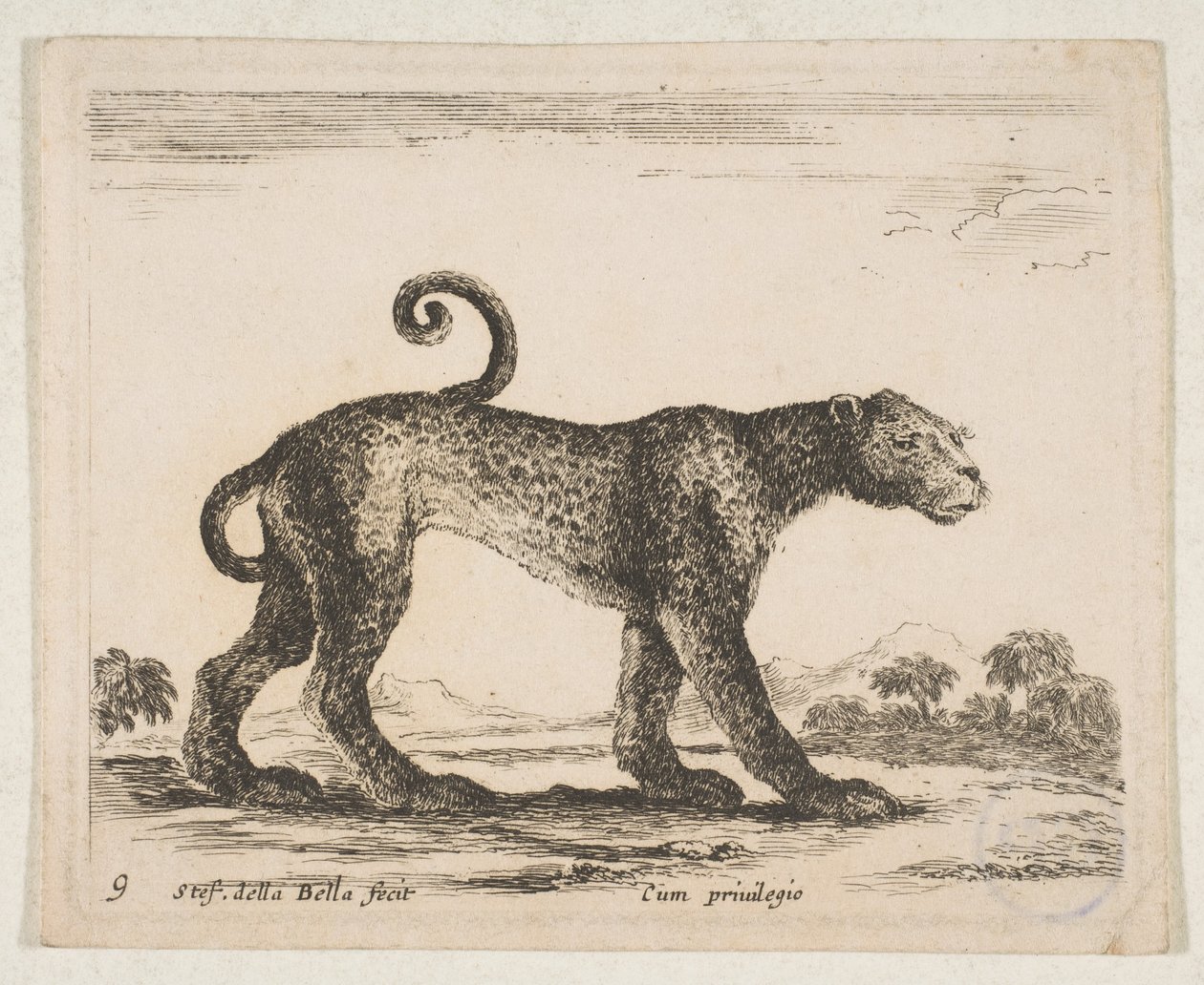 Placa 9: leopardo, de 