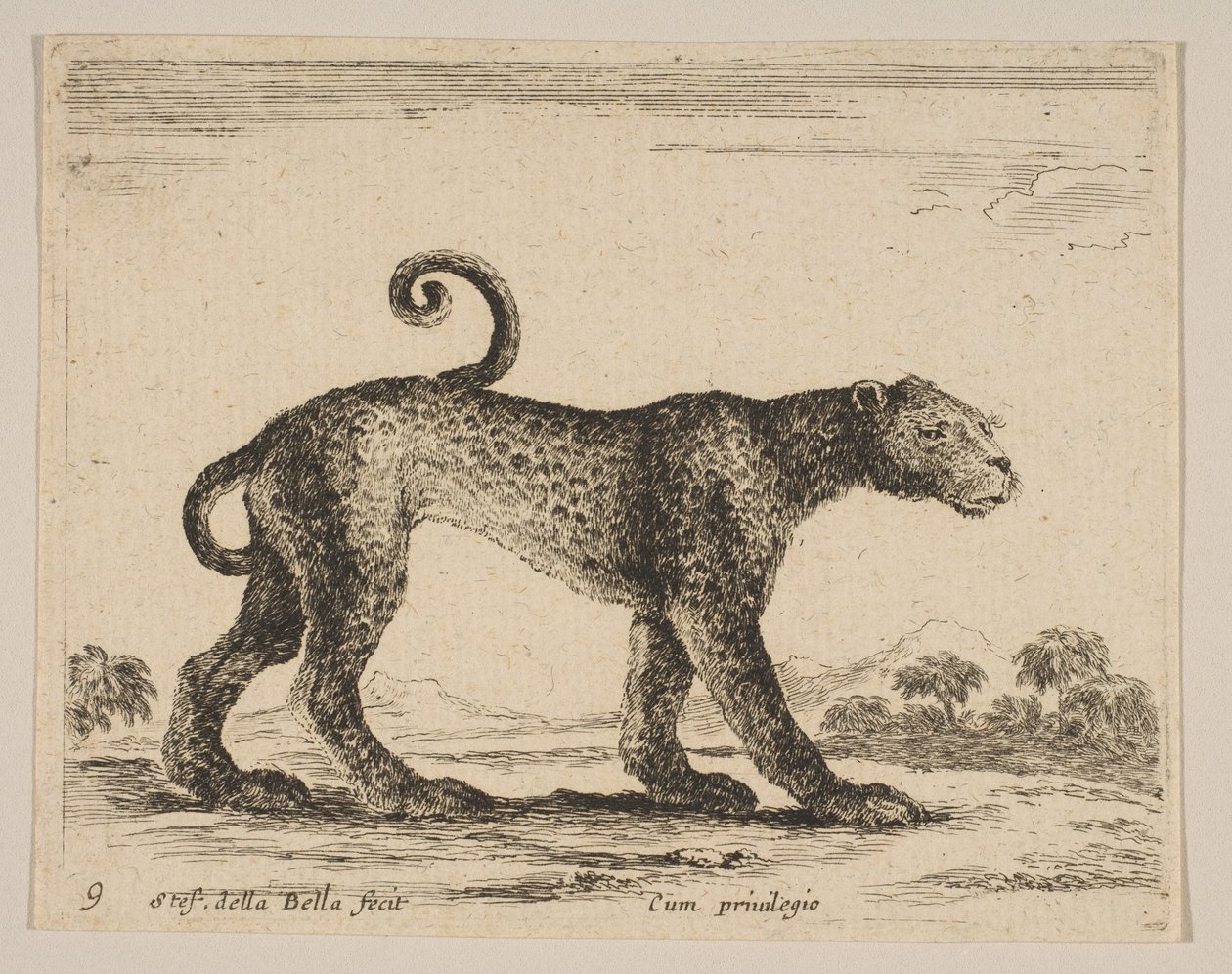Placa 9: leopardo, de Diversos animales Diversi animali de Stefano della Bella