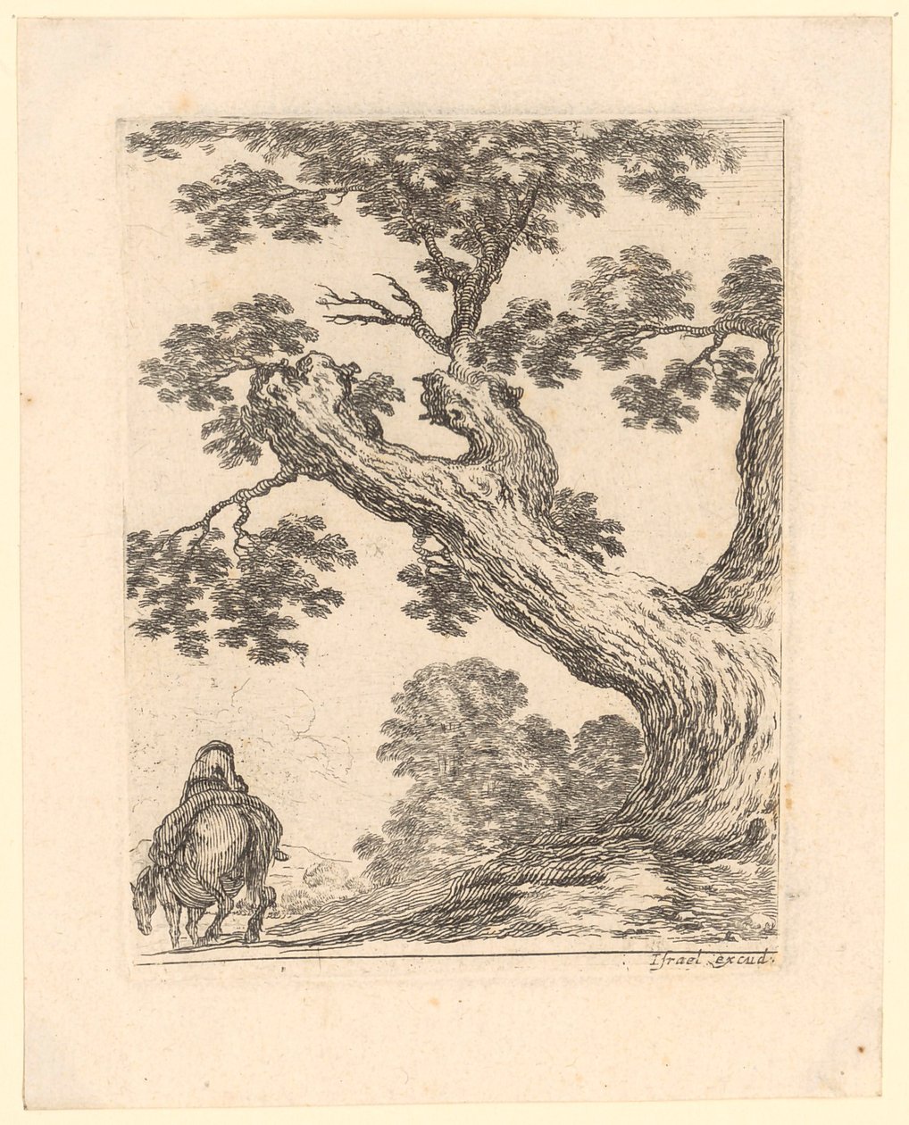 Jinete visto de espaldas bajo un gran árbol de Stefano della Bella
