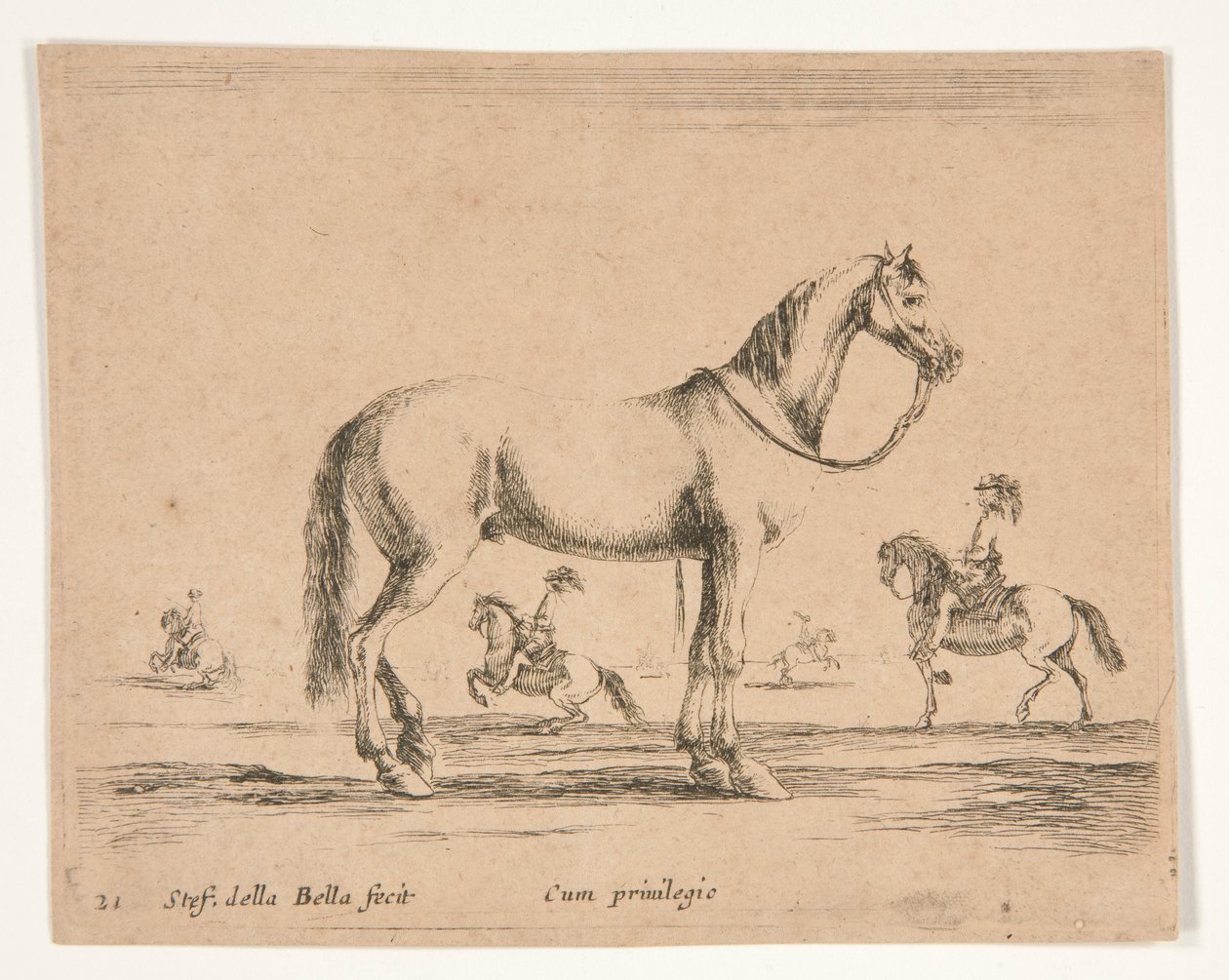 Caballo sin jinete, con jinetes haciendo doma en segundo plano. de Stefano della Bella