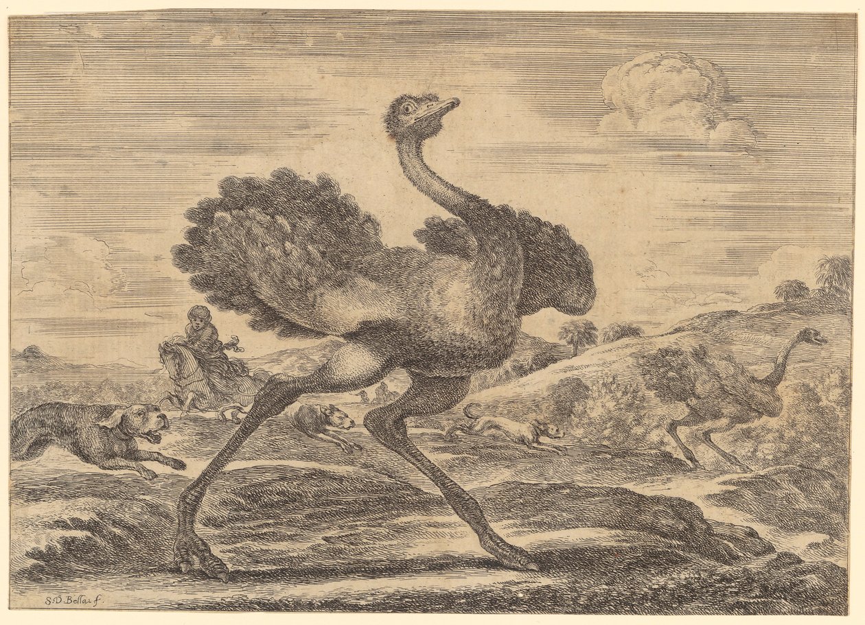 Caza de avestruces de Stefano della Bella