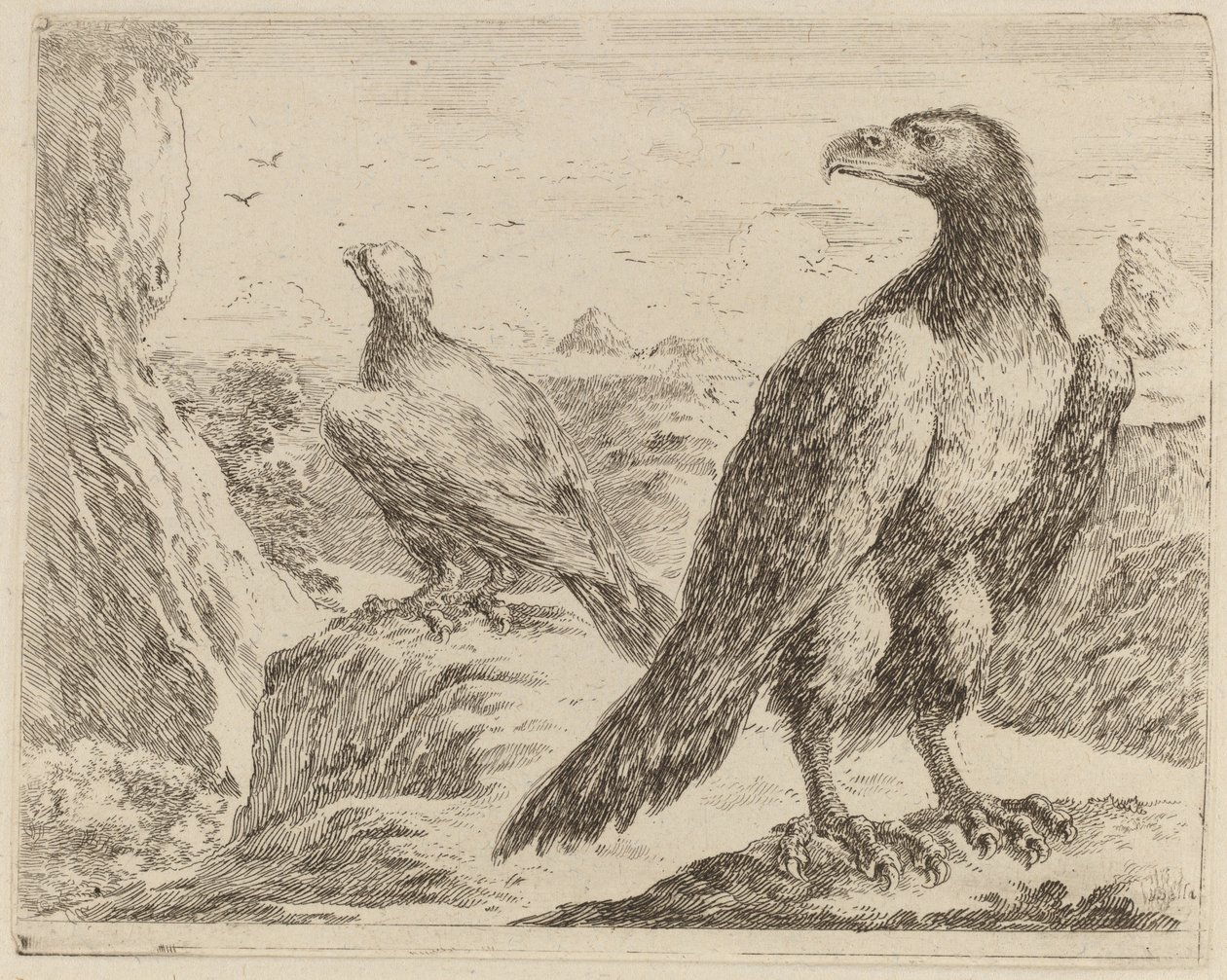 Dos águilas, ambas con la cabeza girada a la izquierda de Stefano della Bella