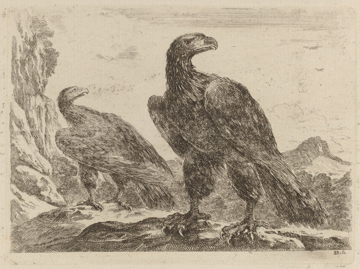 Dos águilas, ambas con la cabeza girada a la derecha de Stefano della Bella
