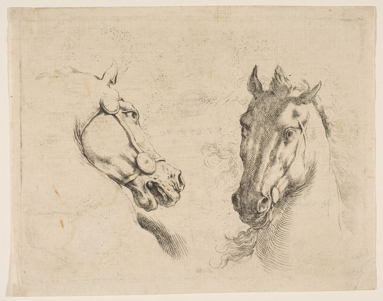 Dos cabezas de caballo, ca. 1649 de Stefano della Bella