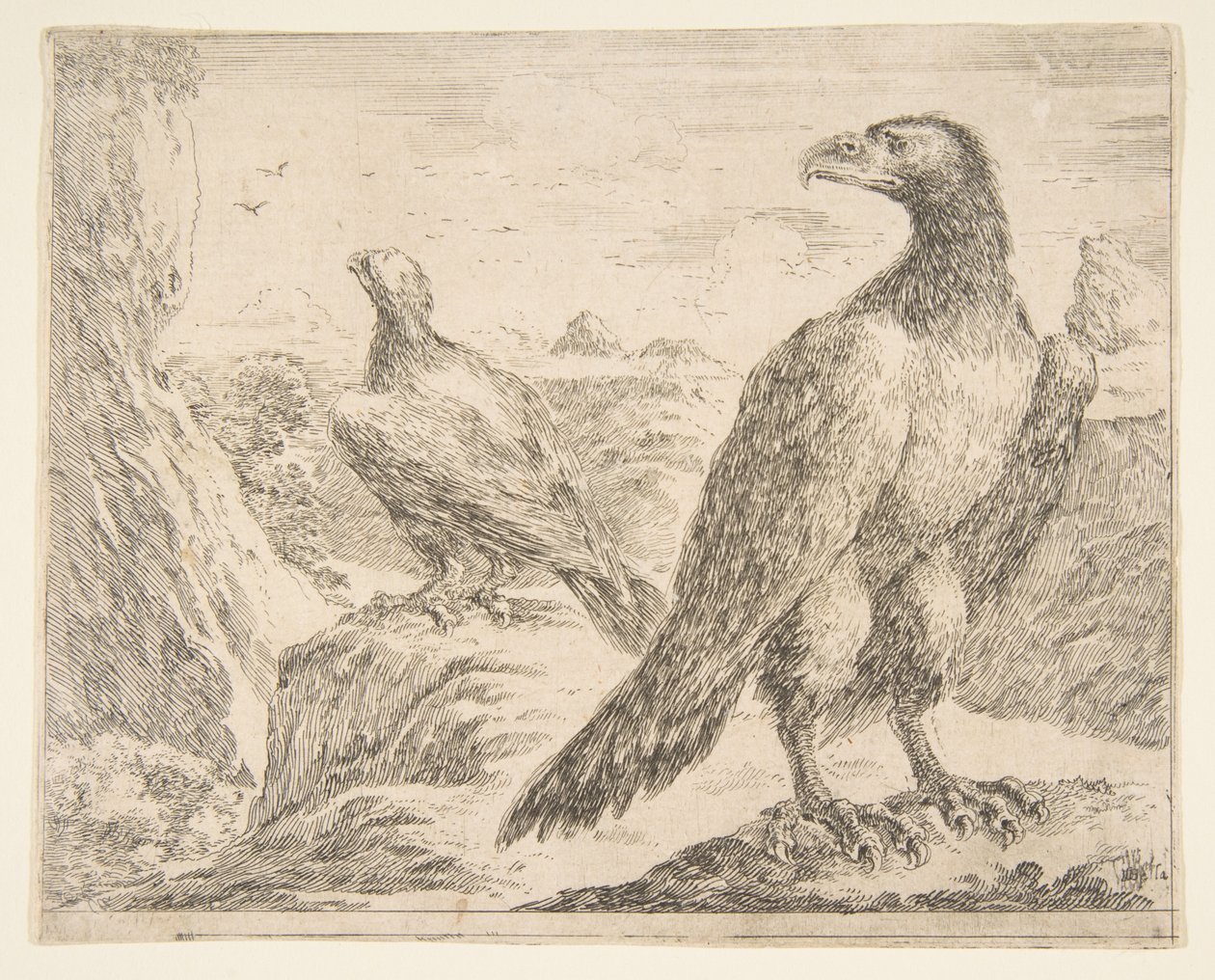 Dos águilas, de Águilas Les aigles de Stefano della Bella