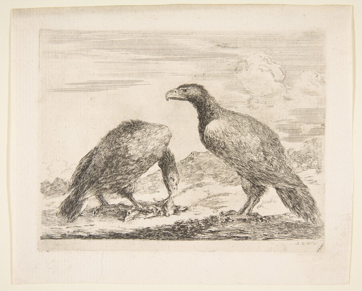 Dos águilas, una devorando un cordero, de Águilas Les aigles, ca. 1651 de Stefano della Bella
