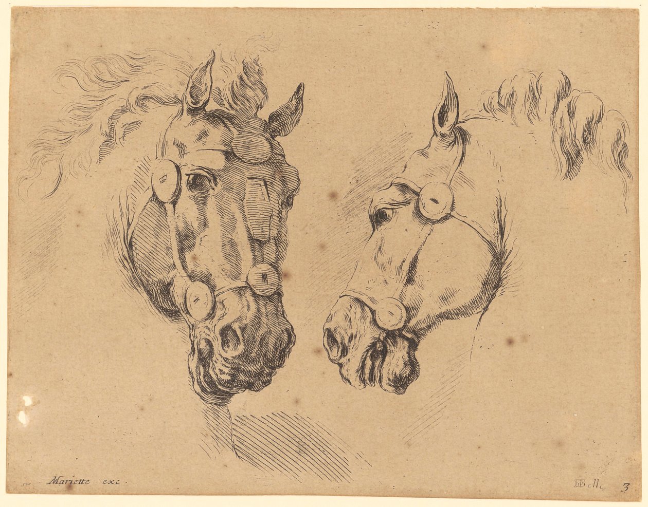 Dos cabezas de caballo de Stefano della Bella