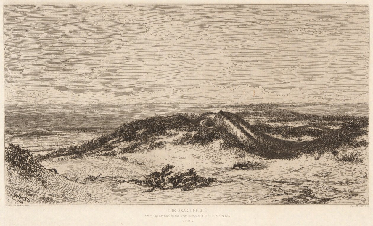 la serpiente de mar de Stephen Alonzo Schoff