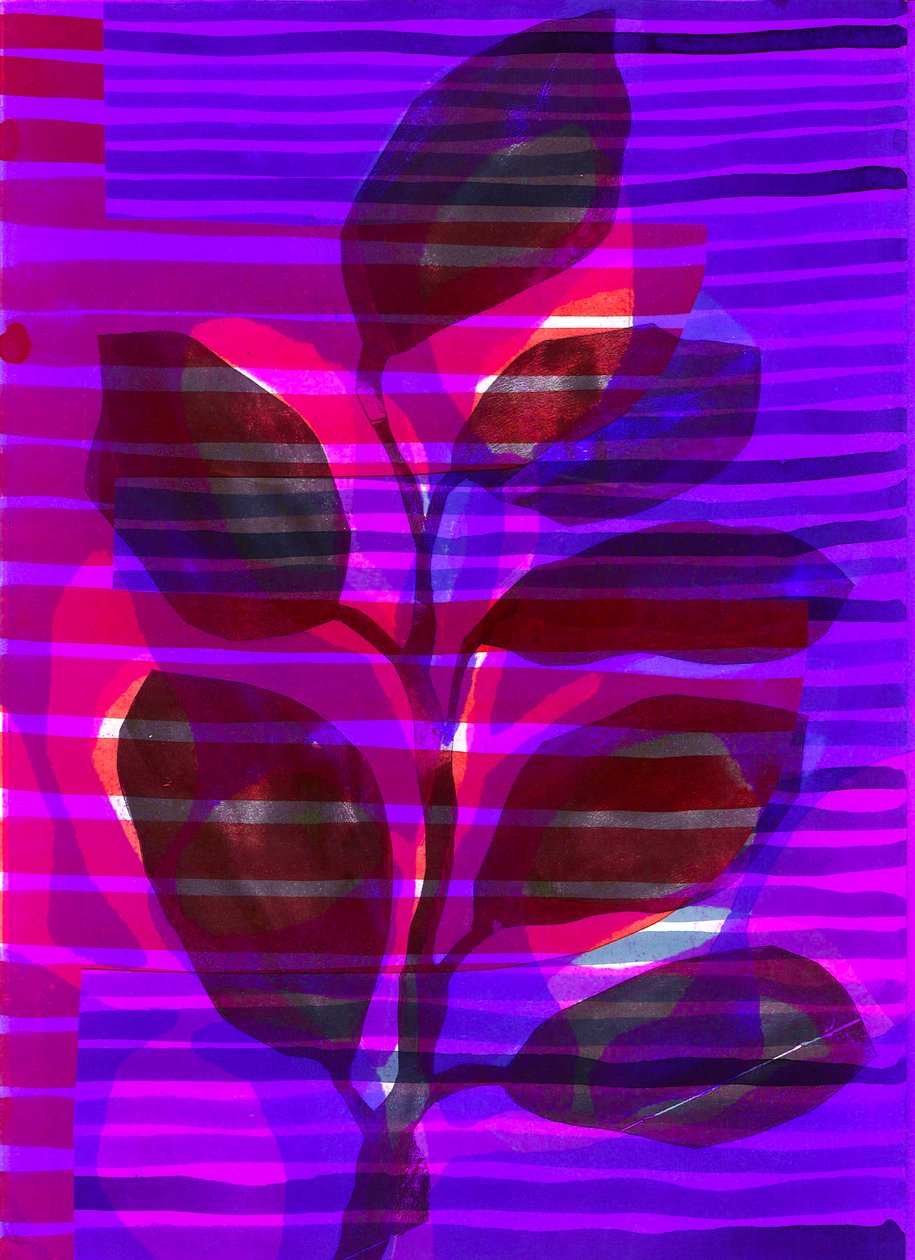 Raya botánica I, 2018 (digital) de Stephen Dow