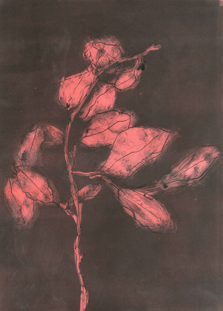 Follaje I, 2015 (monocopia sobre papel) de Stephen Dow