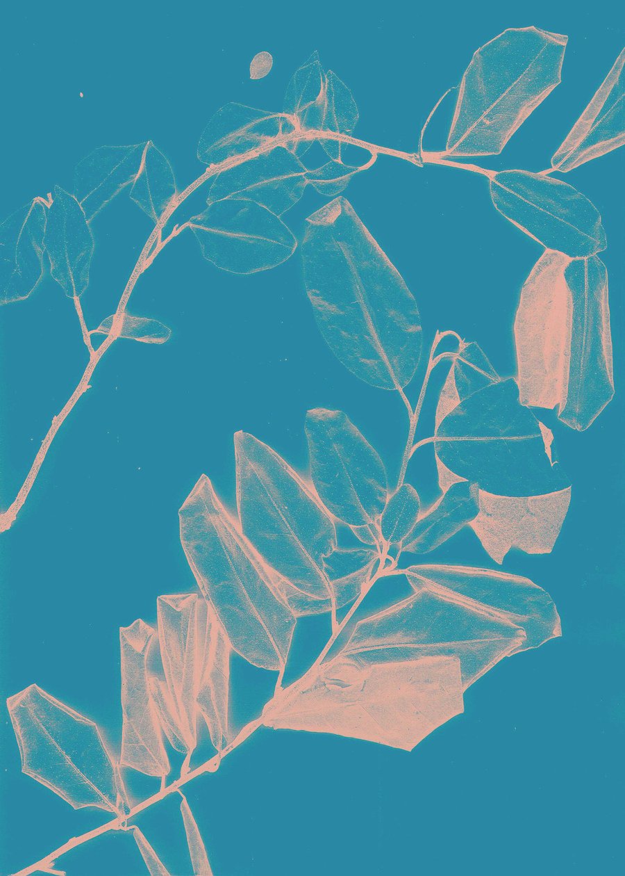 Freyr VI Amanecer, 2018 (digital) de Stephen Dow