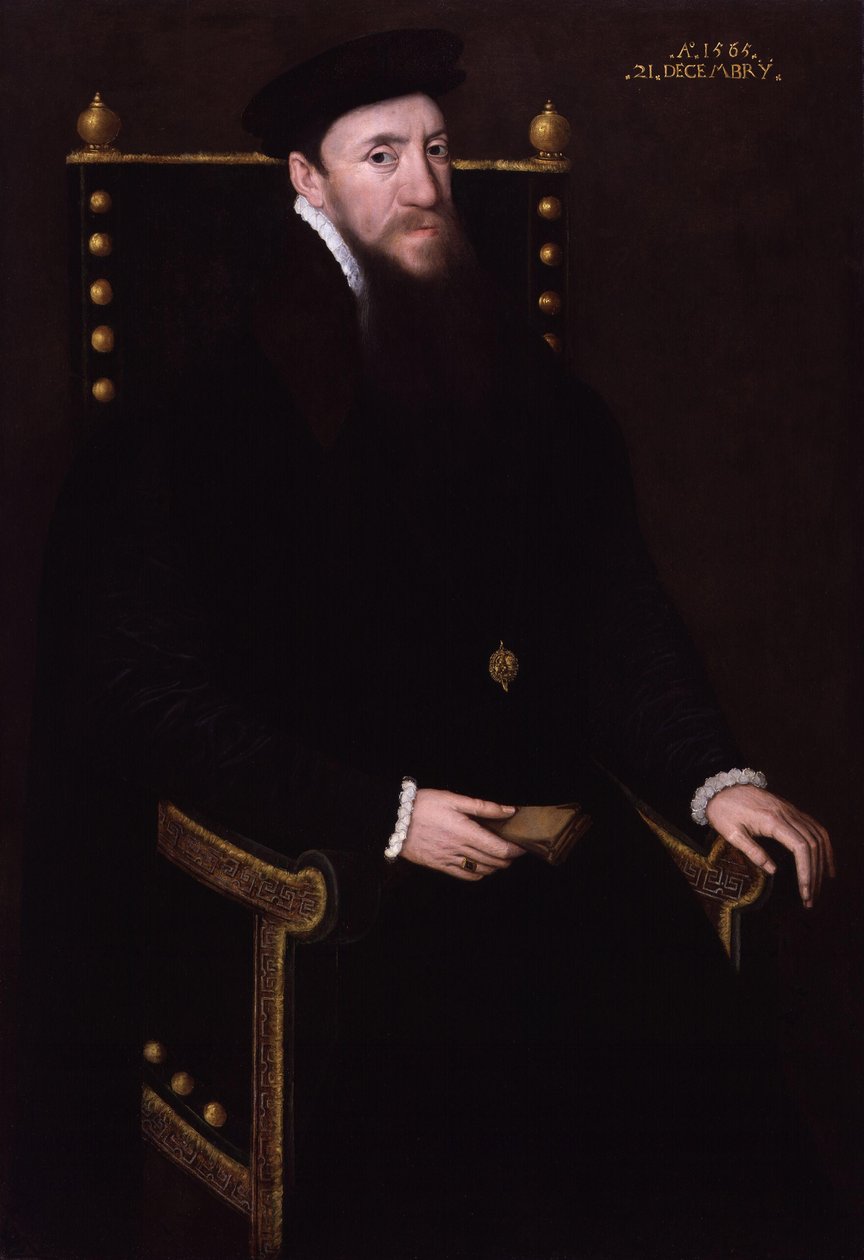 Henry Fitzalan, duodécimo conde de Arundel de Steven van der Meulen