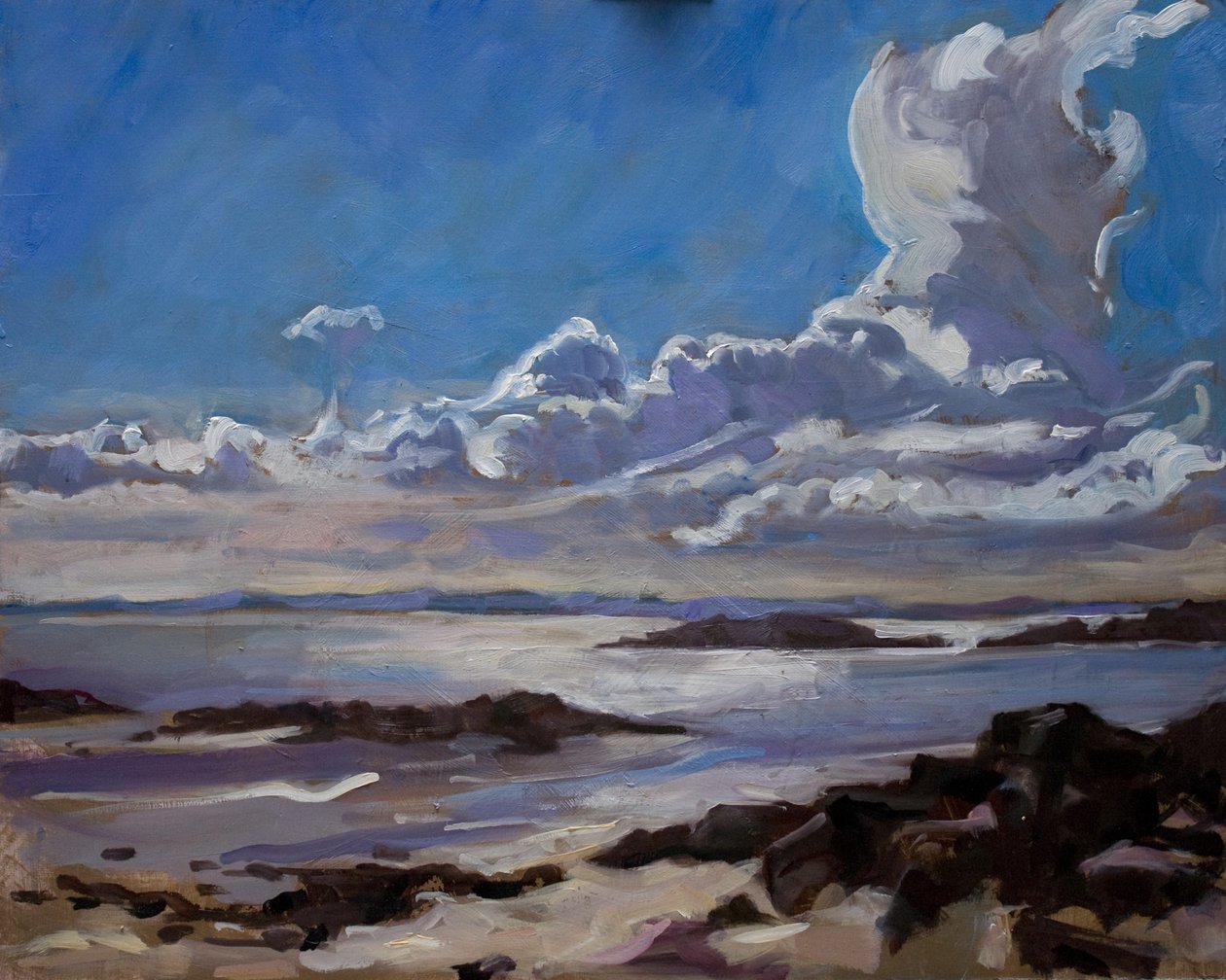 Tarde en Galloway, 2010 de Sue Wales