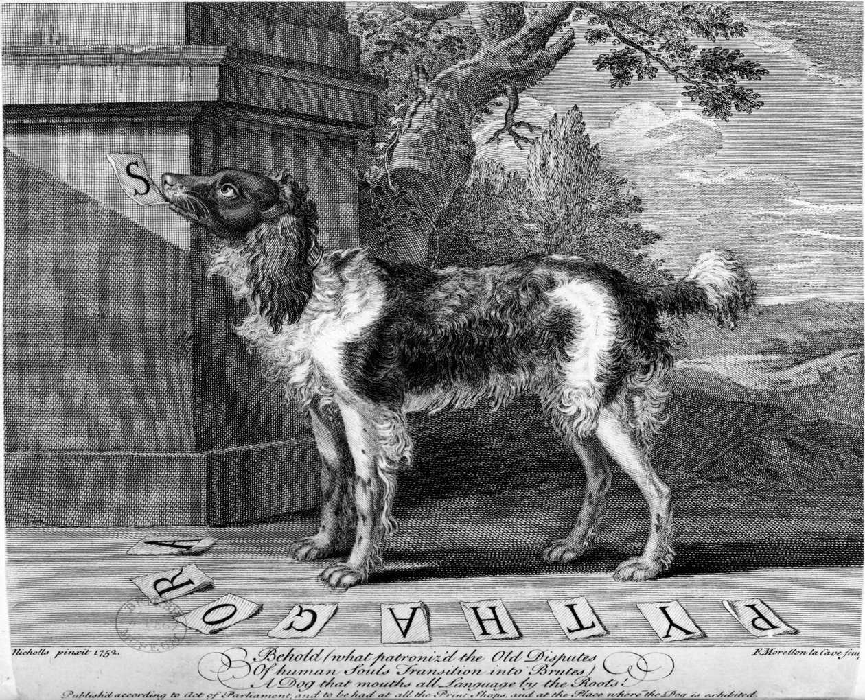 El nuevo perro sabio, o perro erudito, grabado por F-Morellon la Cave, 1752 de Sutton Nicholls