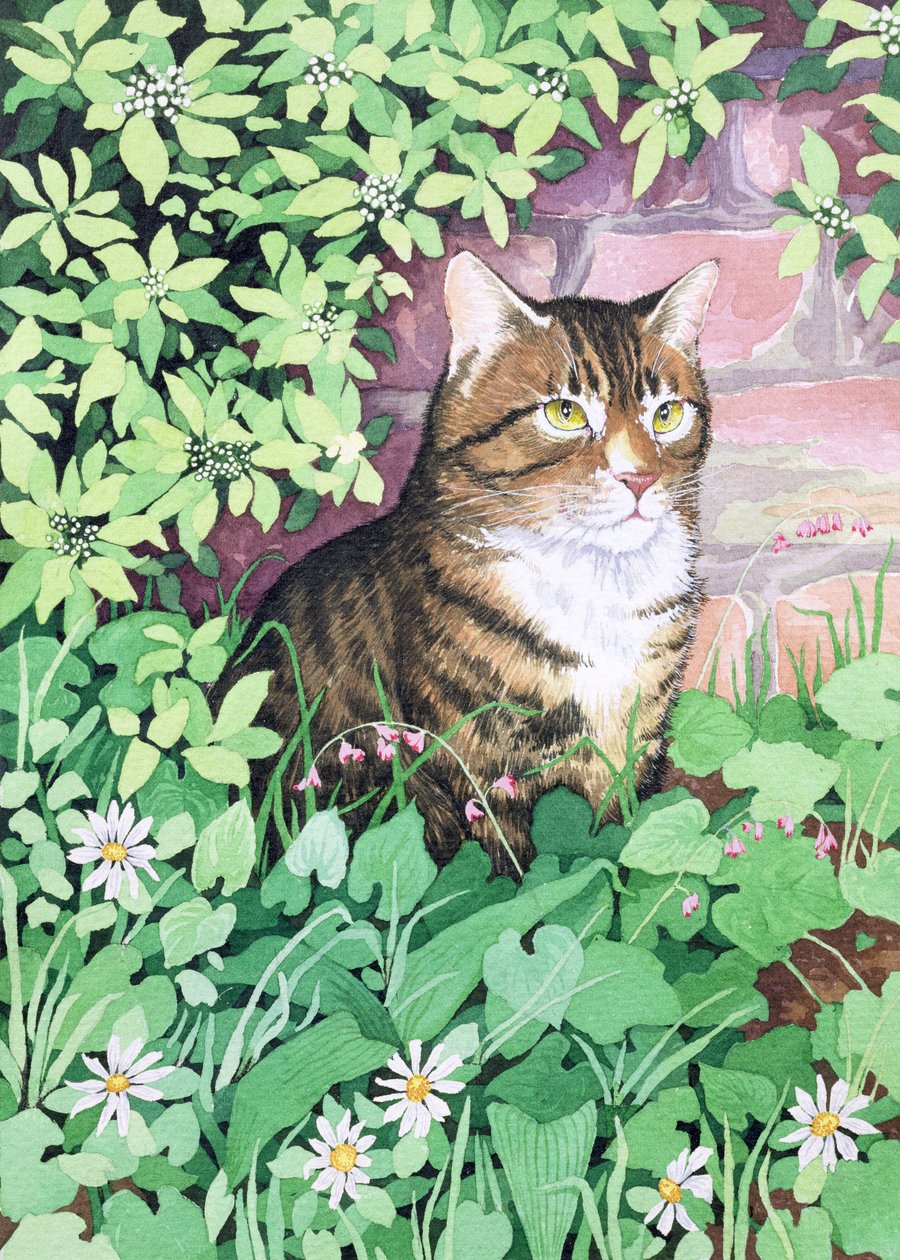 El gato de Jackie (diseño de jardín) de Suzanne Bailey
