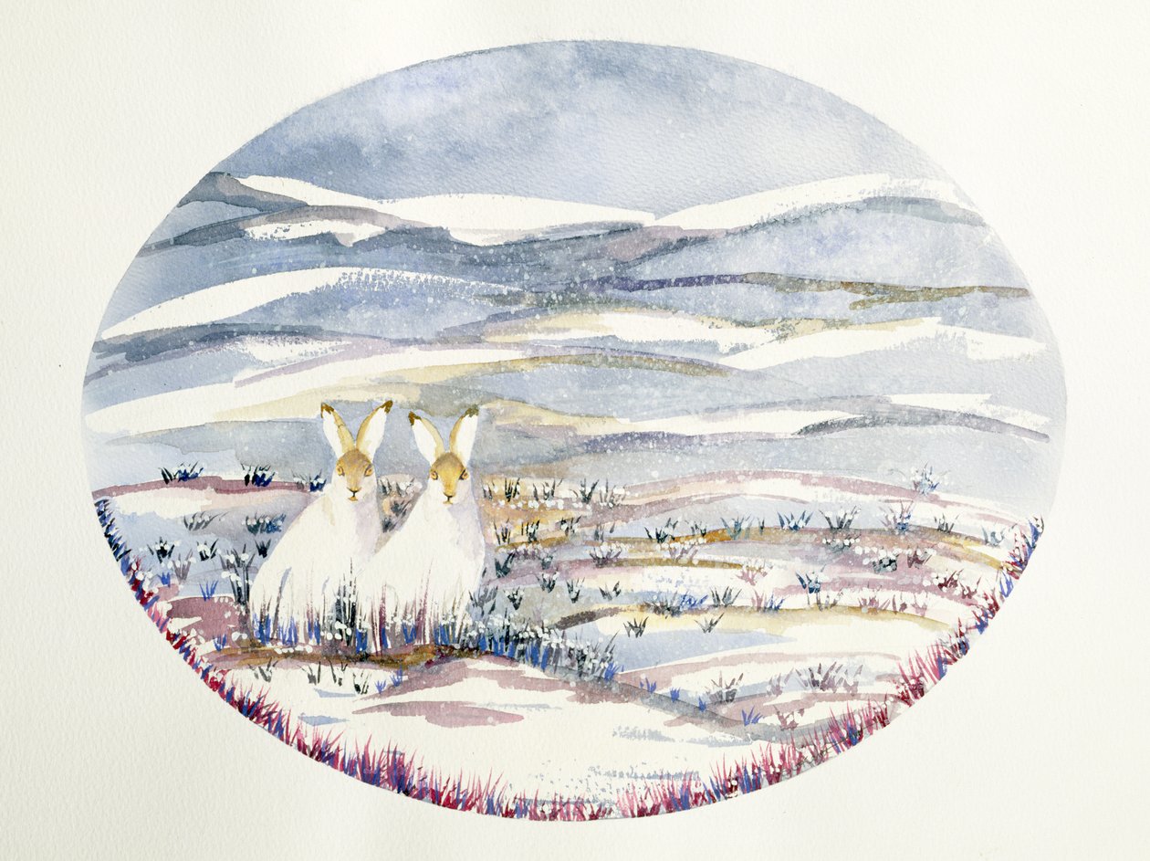 Dos liebres en un paisaje nevado de Suzi Kennett