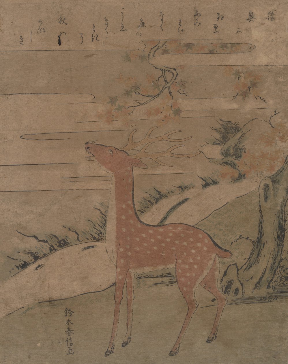 El grito del ciervo, ca. 1760 de Suzuki Harunobu