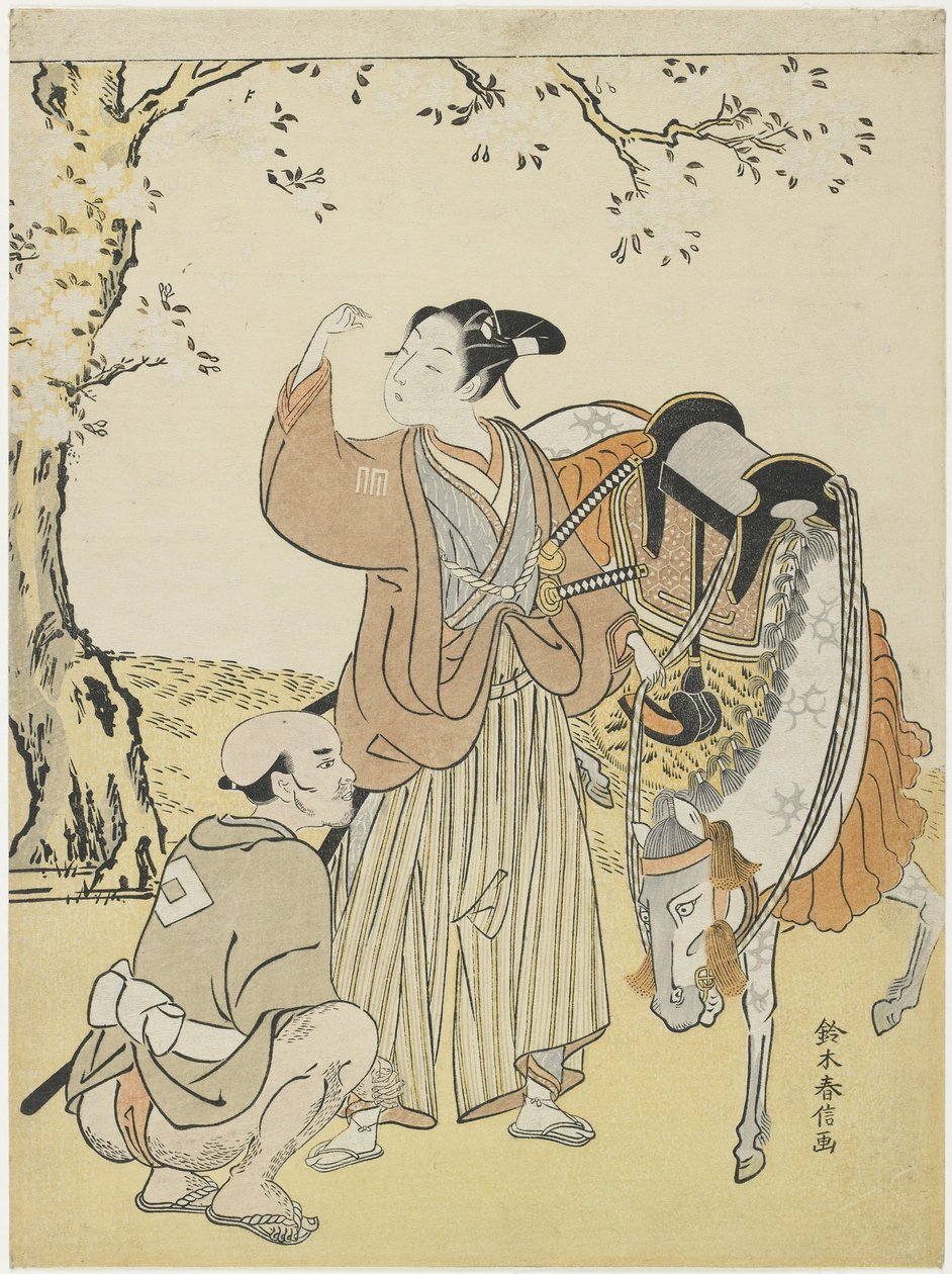 Joven Samurai Observando los Cerezos en Flor como un Mitate del Príncipe Kaoru, c. 1767 de Suzuki Harunobu
