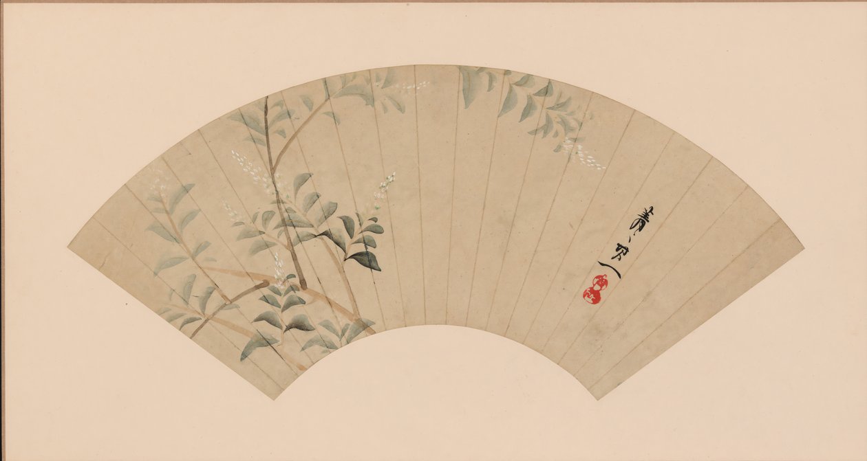 Trébol de arbusto de Suzuki Kiitsu