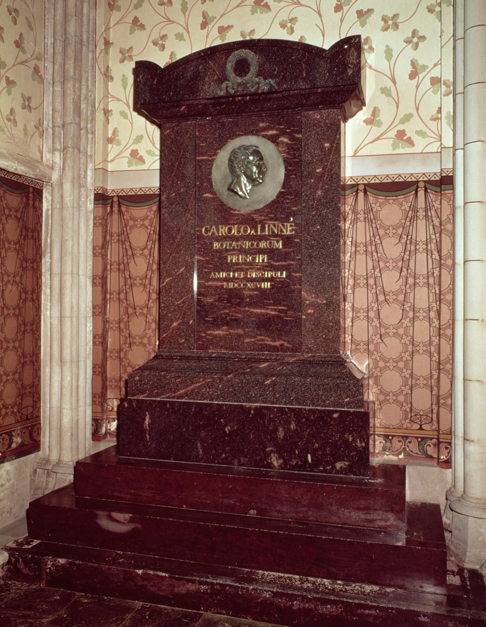 La tumba de Carl Linnaeus (1707-78) de Swedish School