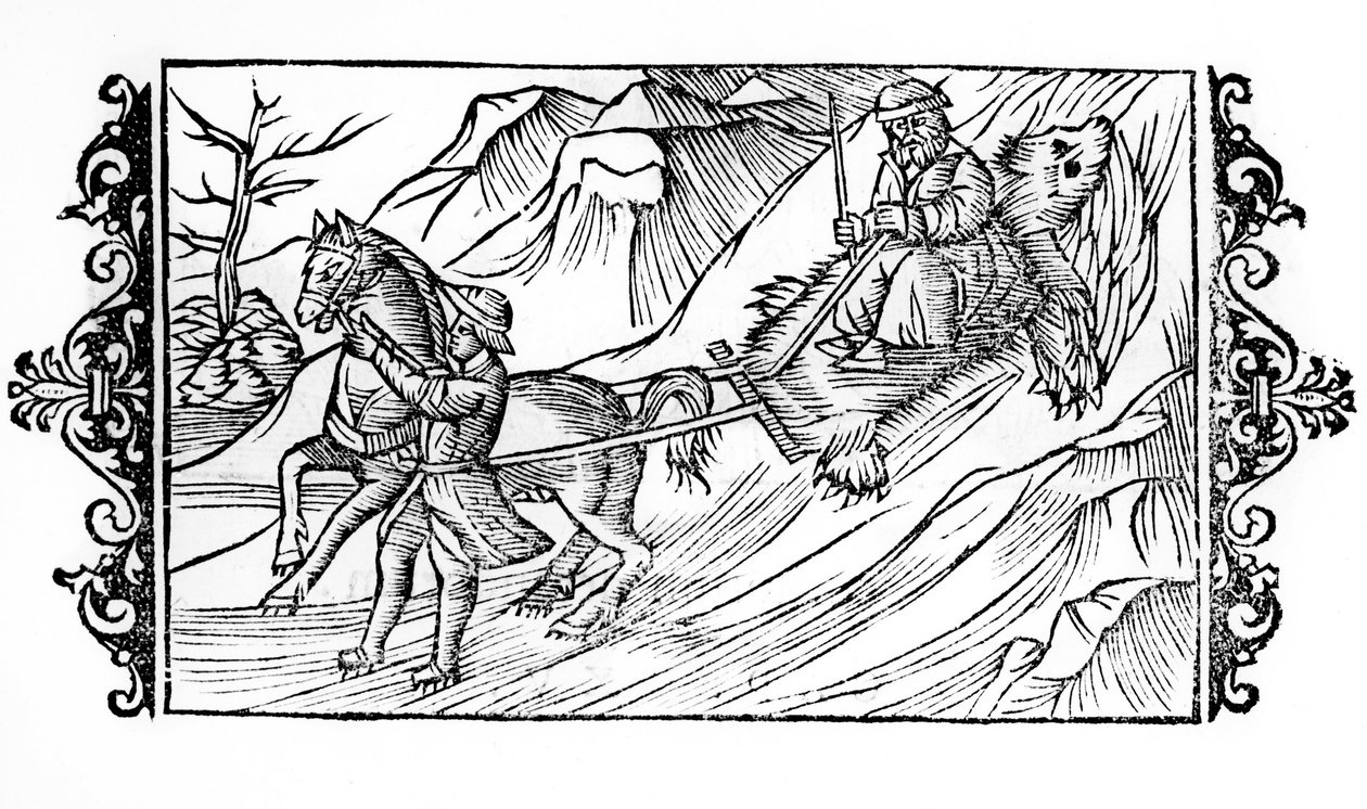 Caballo arrastrando en la nieve una piel de oso sobre la que se sienta un finlandés - en "De Gentibus septrionalibus" del Arzobispo Olaus Magnus, Suecia de Swedish School