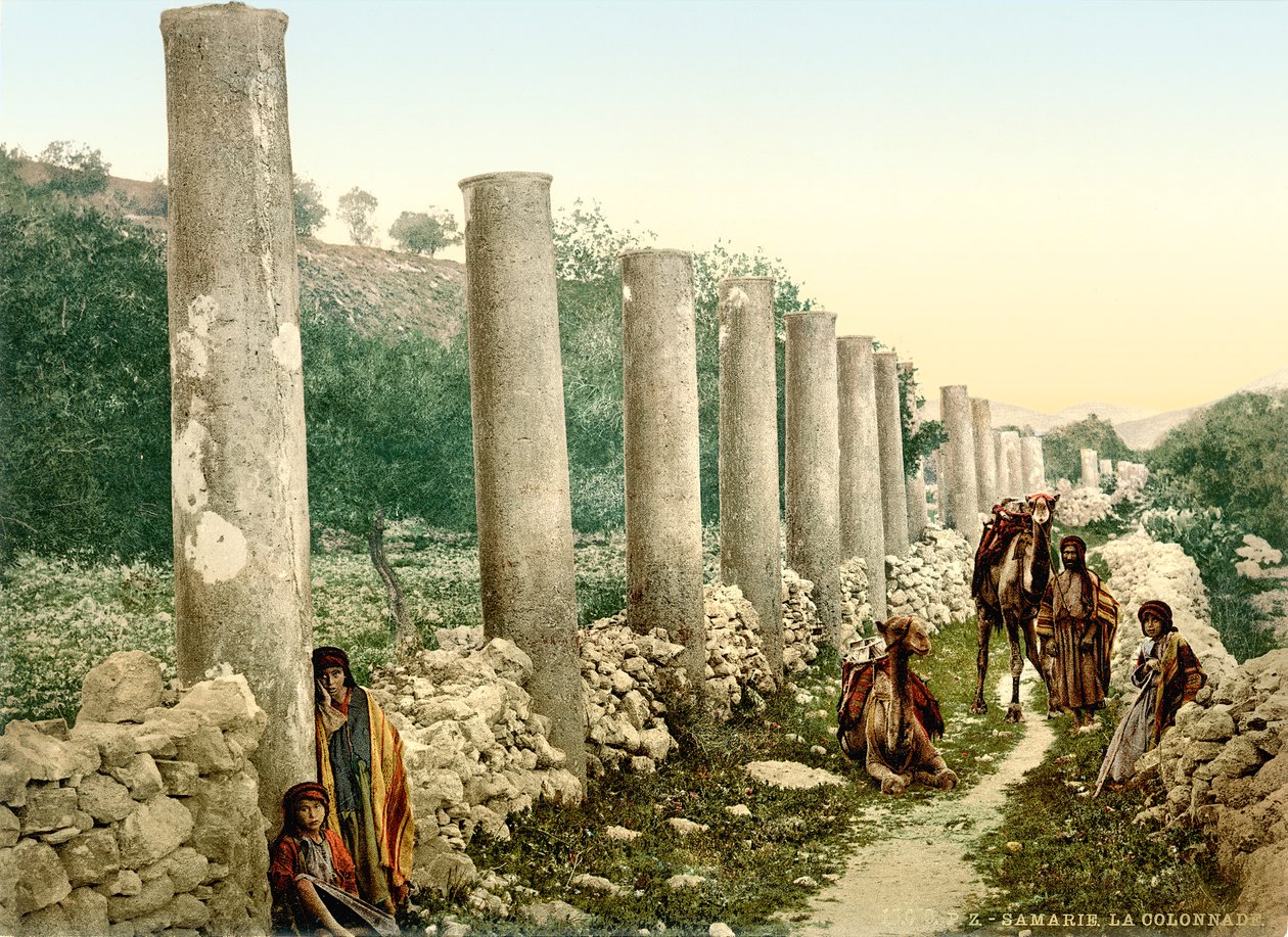 Calle columnada romana en Samaria, c.1880-1900 de Swiss Photographer