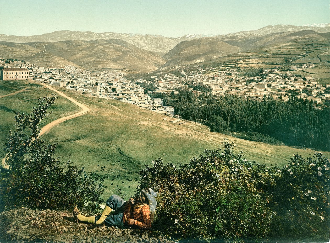 Zahleh, Anti-Líbano, c.1880-1900 de Swiss Photographer