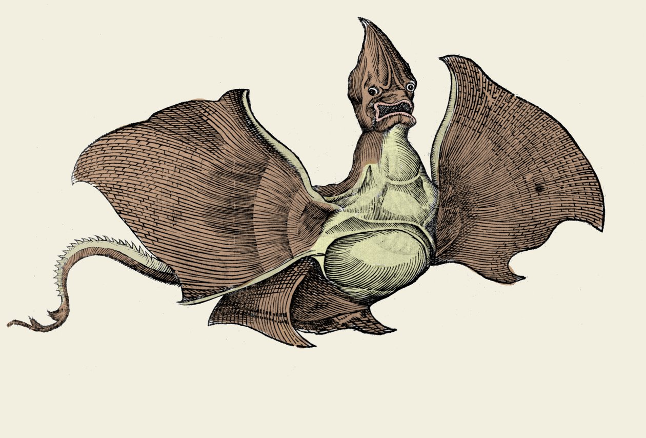 Monstruo marino fantástico, ilustración de 