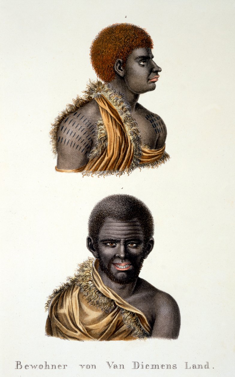 Nativos de la Tierra de Van Diemen, es decir, Tasmania, del Estudio etnológico de varios tipos raciales de varios continentes, por C.I. Brodtmann, 1824 de Swiss School