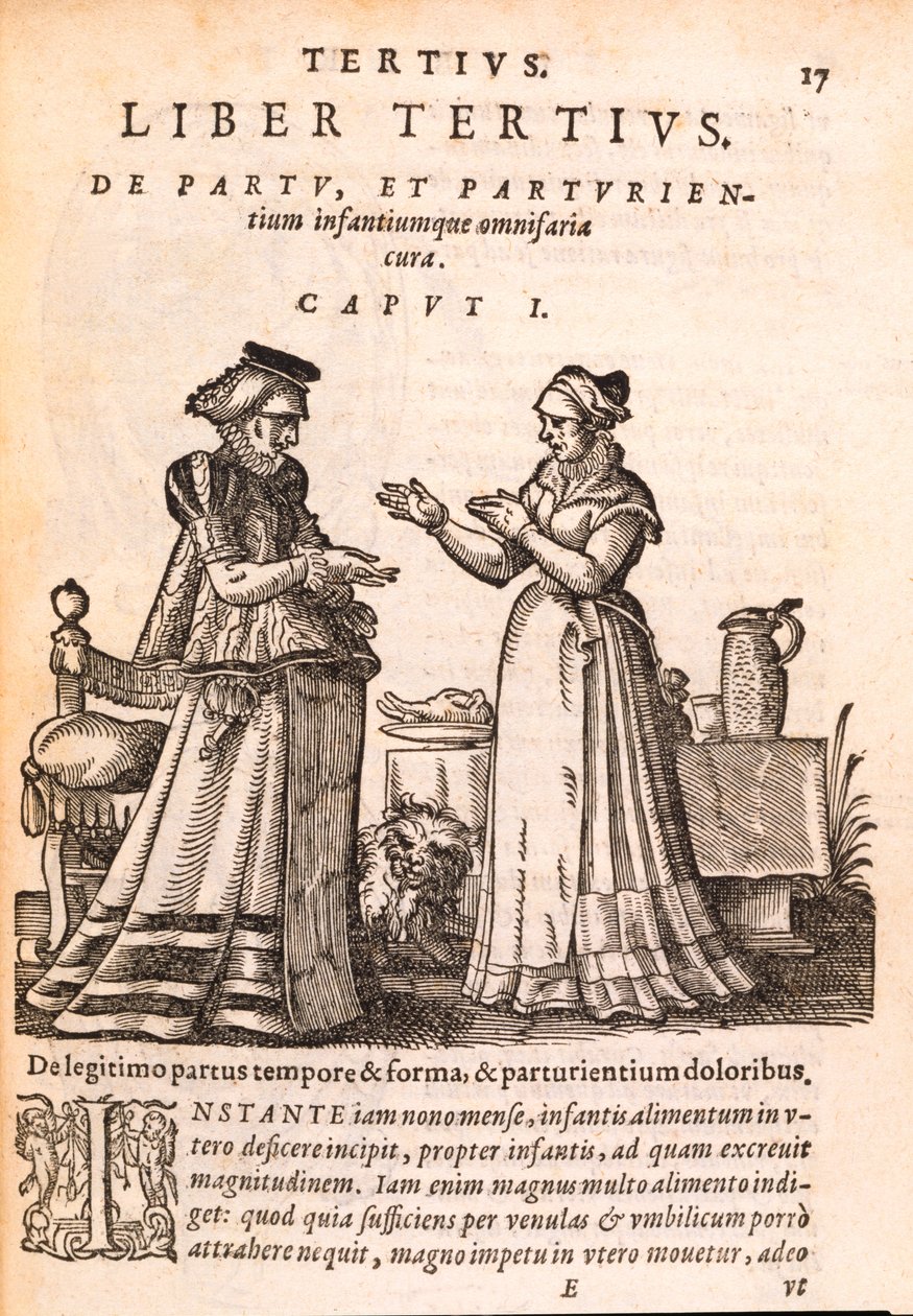 Enfermera atendiendo a un paciente con una mano herida, de De Concepta et Generatione Hominis por Jakob Ruf, 1587 de Swiss School