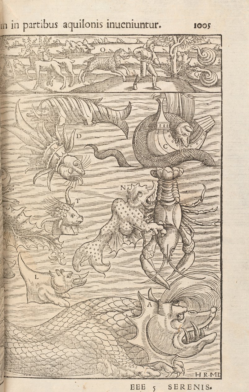Página 1005 de Cosmographiae Universalis por Sebastian Muenster, Basilea, 1572 de Swiss School