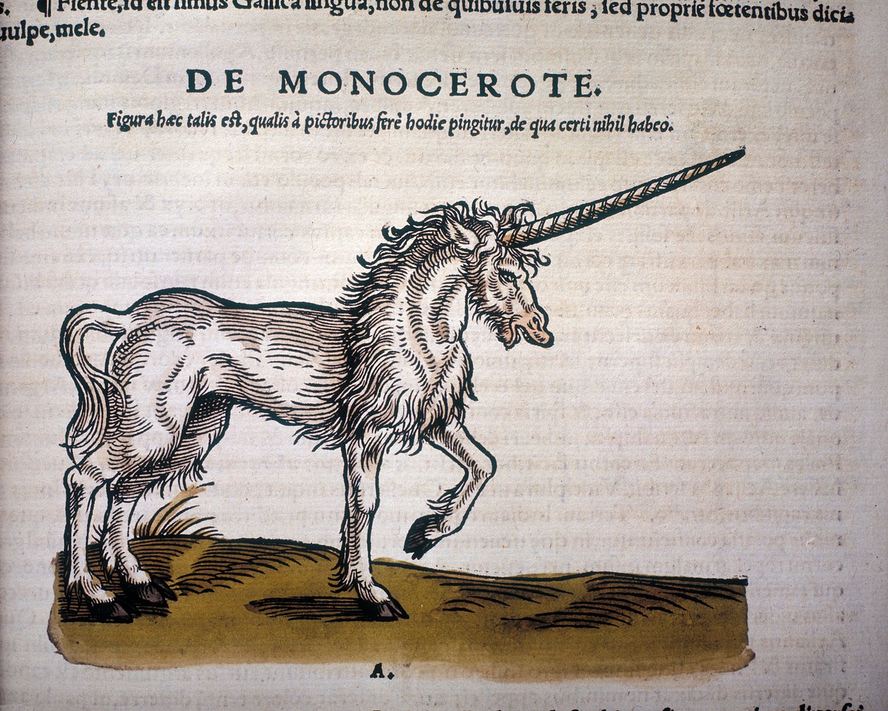 Unicornio, ilustración de "Historiae Animalium" de Conrad Gesner