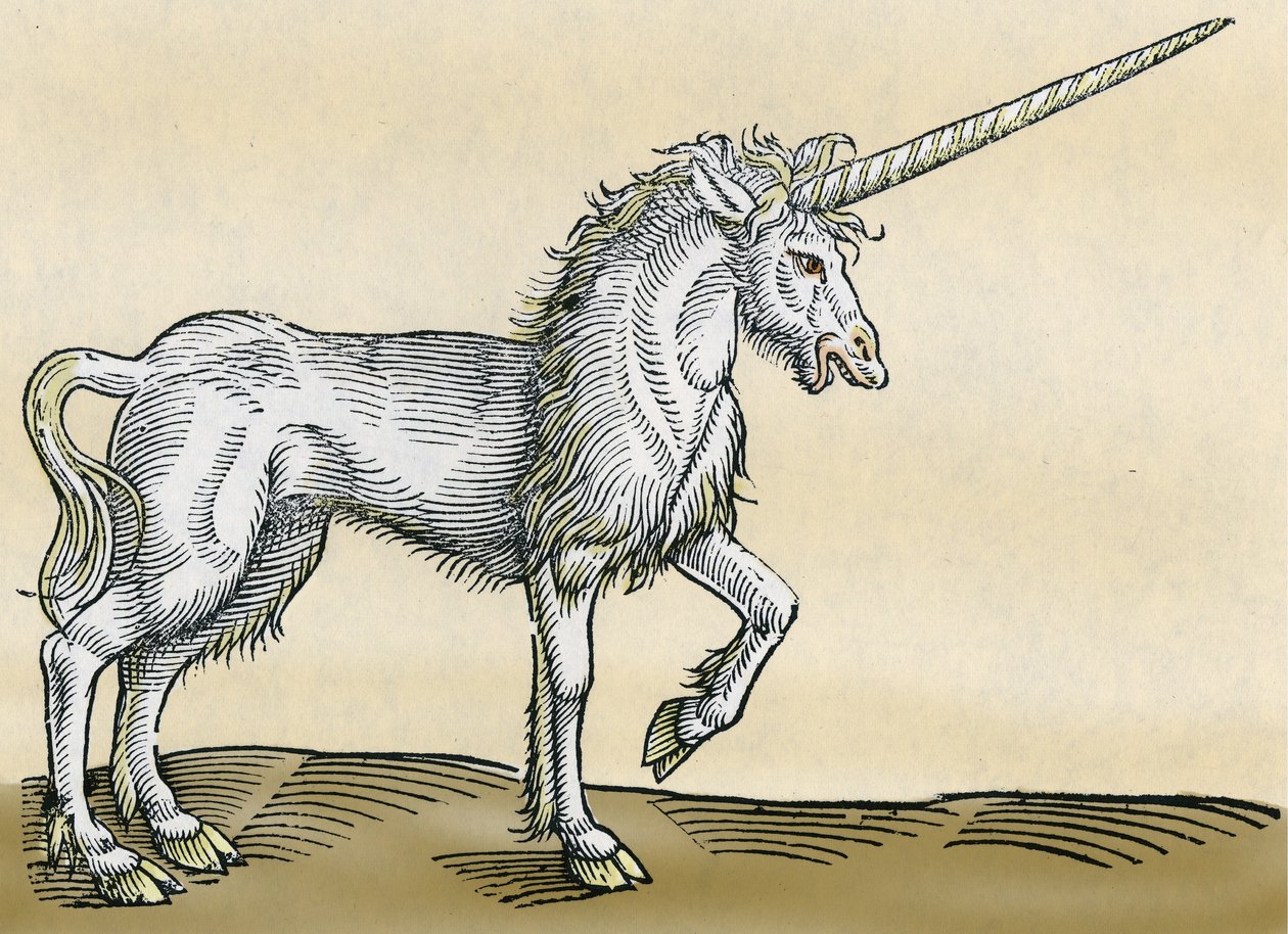 Unicornio, ilustración de Historiae Animalium por Conrad Gesner, 1551 de Swiss School