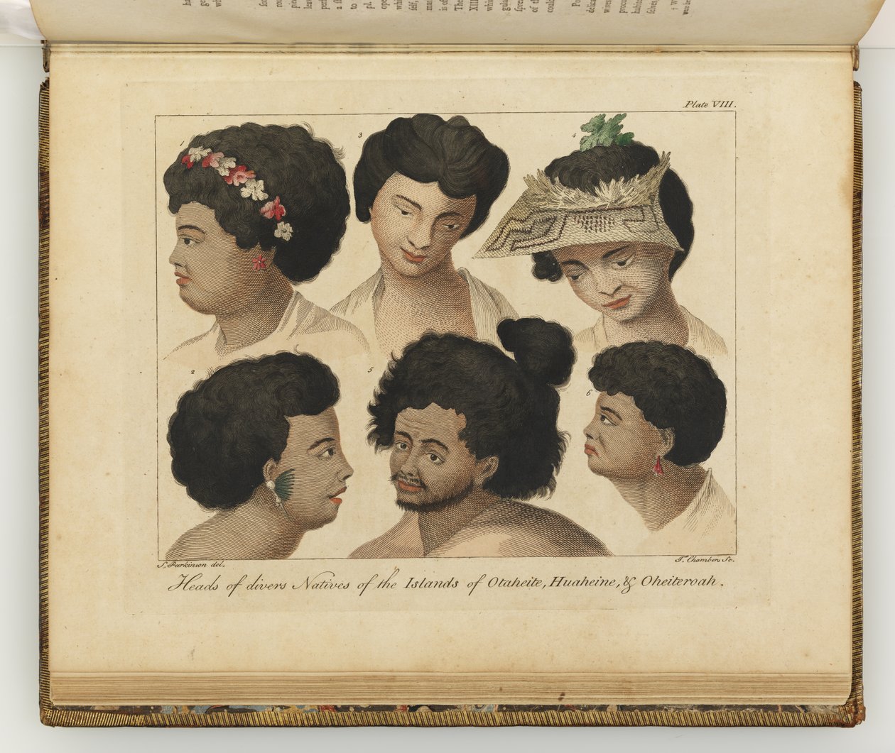 Cabezas de diversos nativos, ilustración de Un diario de un viaje a los mares del sur: en el barco de Su Majestad, el Endeavour, 1794 de Sydney
