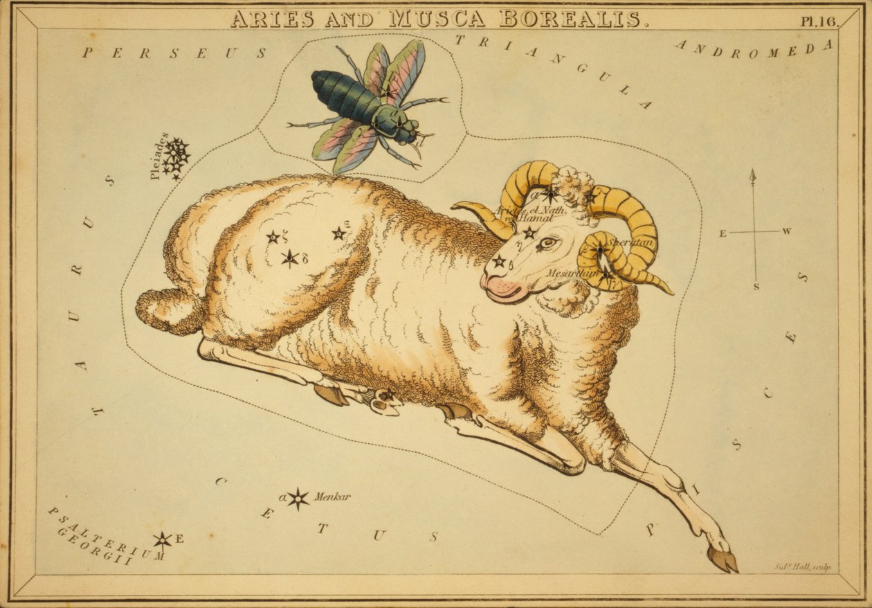 Aries y Musca Borealis, Ilustración de 