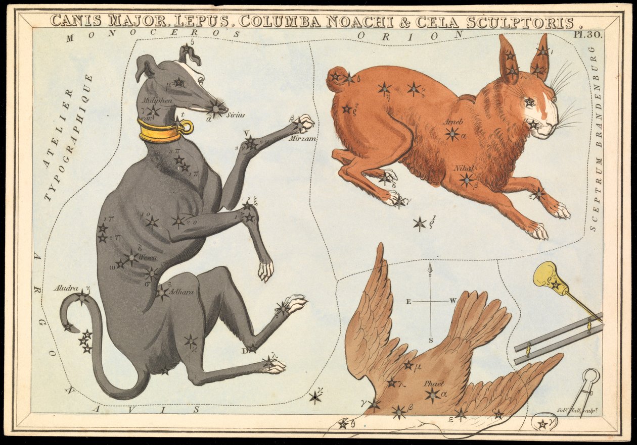 Canis Major. Lepus, Columba Noachi  Cela Sculptoris, c.1825 (cartulina, papel, tejido ) de Sydney Hall