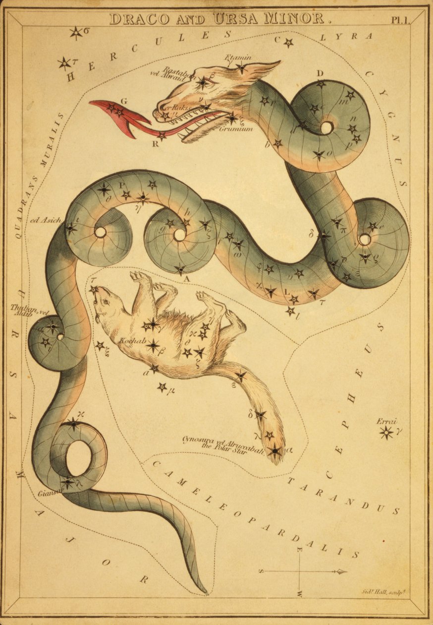 Draco y Ursa Minor, Ilustración de 