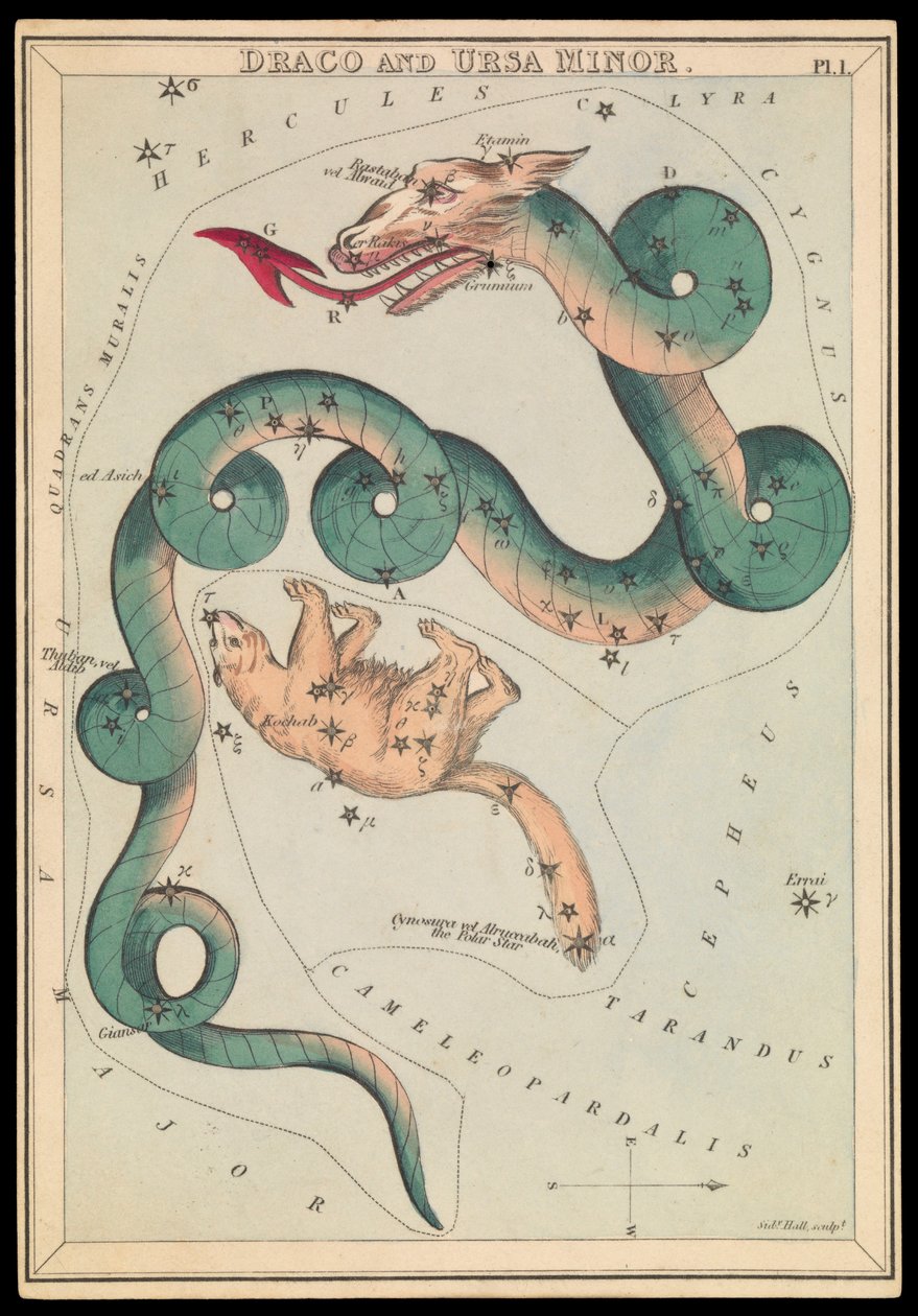 Draco y Osa Menor, c.1825 (cartulina, papel, tejido ) de Sydney Hall