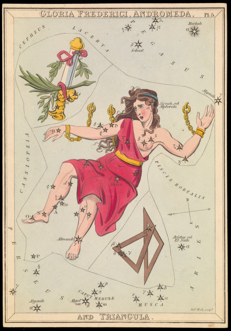 Gloria Frederich, Andrómeda y Triángulo, c.1825 (cartulina, papel, tejido ) de Sydney Hall