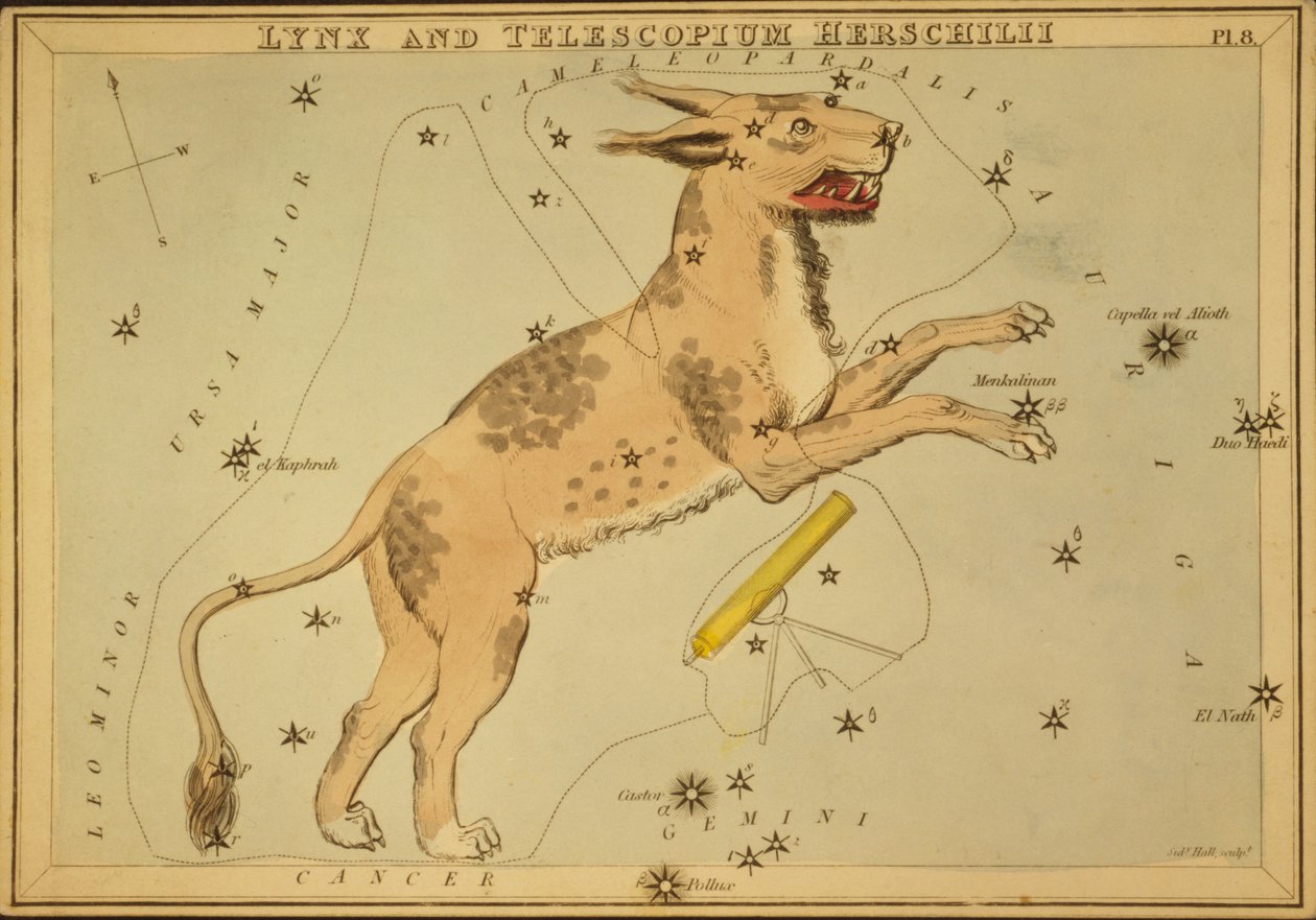 Lince y Telescopium Herschilii, Ilustración de 