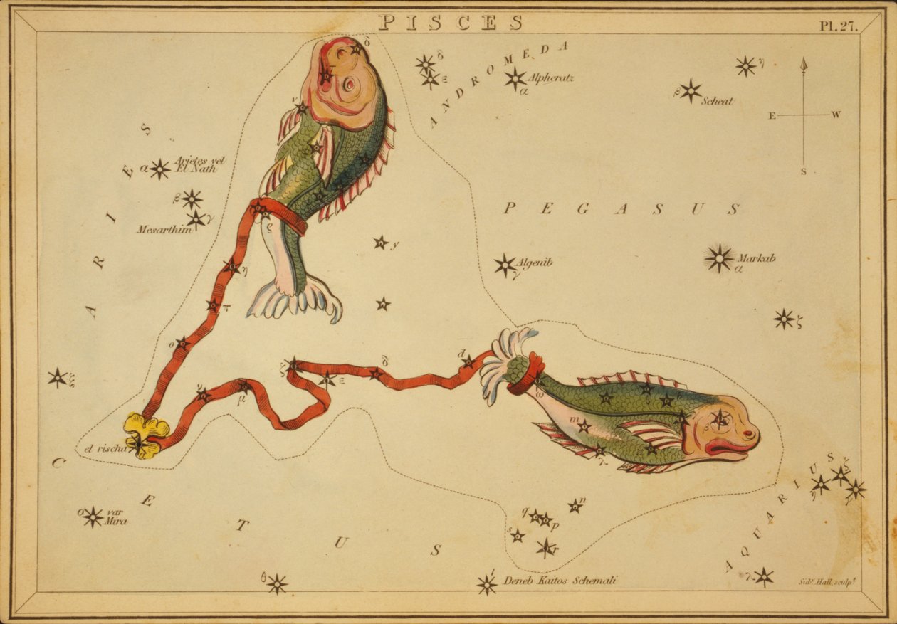 Piscis, ilustración de 