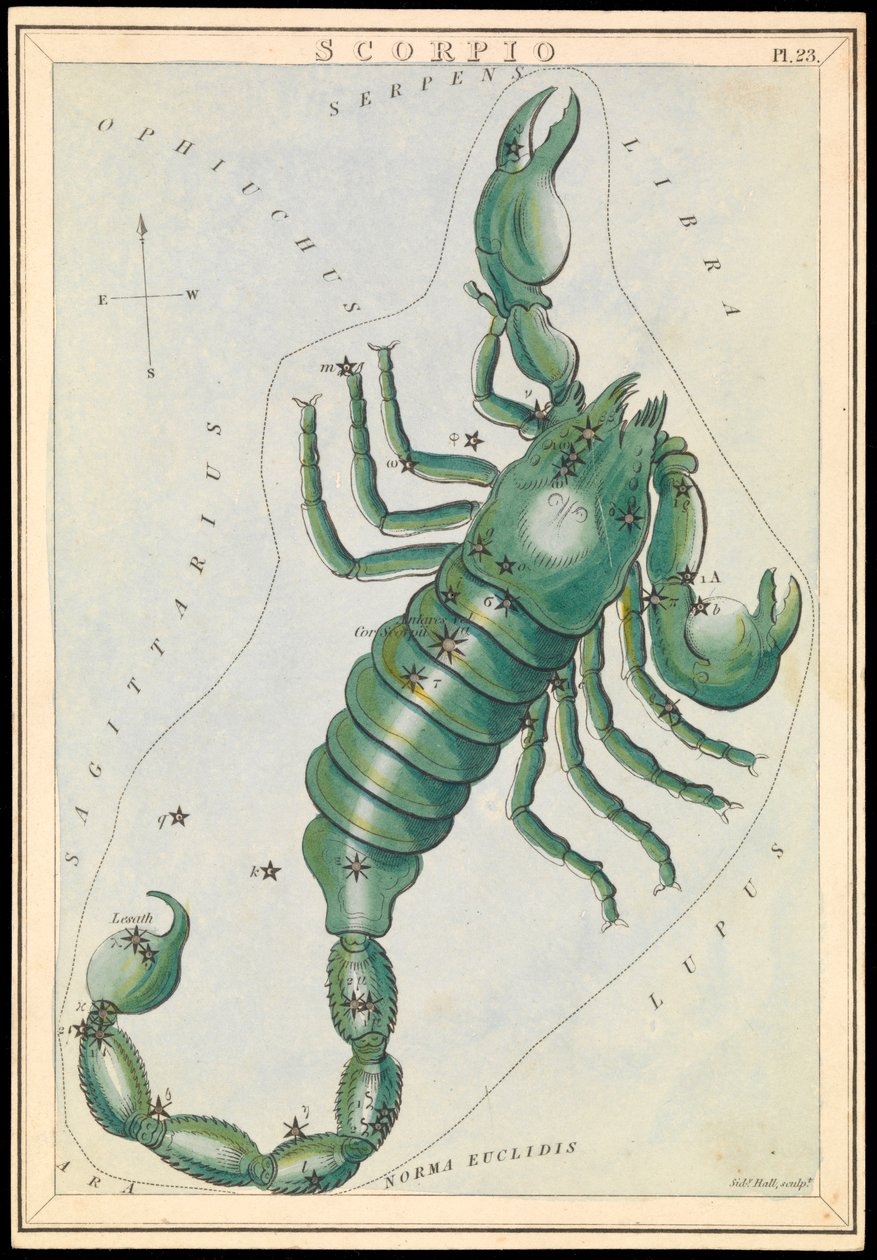 Scorpio, c.1825 (cartulina, papel, tejido ) de Sydney Hall