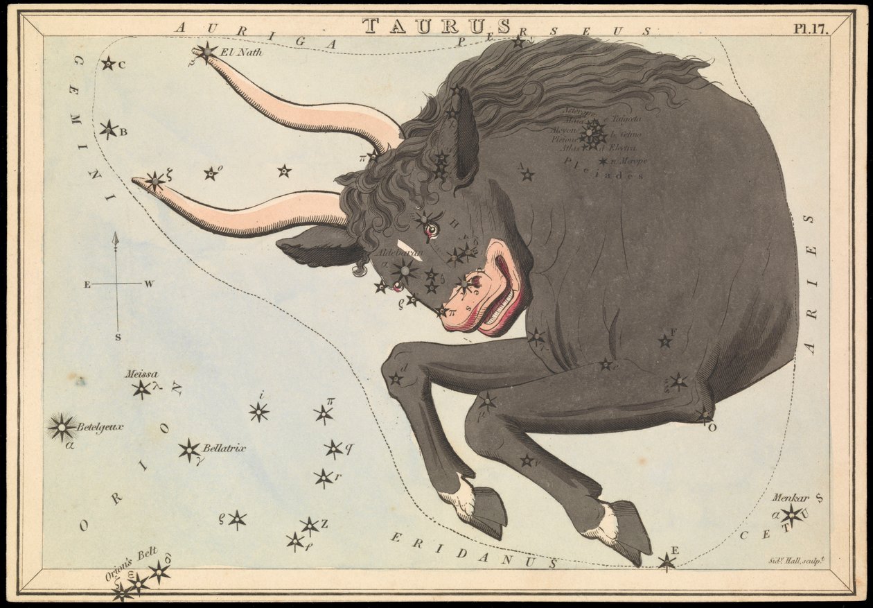 Taurus, c.1825 (cartulina, papel, tejido ) de Sydney Hall