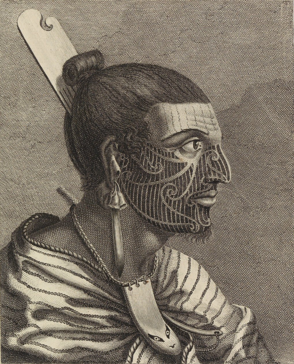 Cabeza de un neozelandés, con un peine en el pelo. de Sydney Parkinson