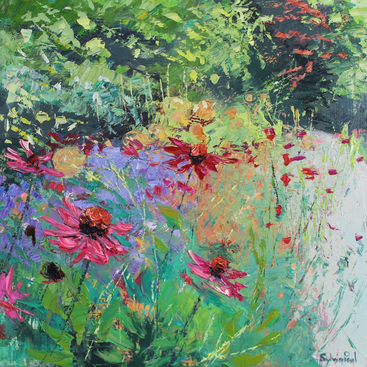 de Sylvia Paul