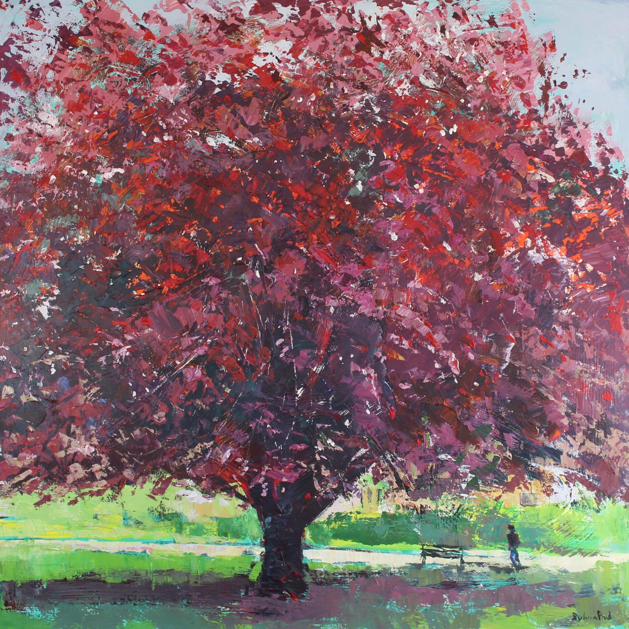  de Sylvia Paul