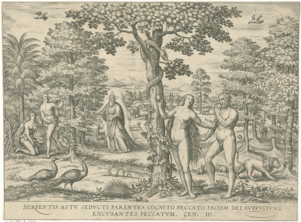 Zondeval Figuras e imágenes de libros (título de la serie) de Symon Novelanus (attributed to)