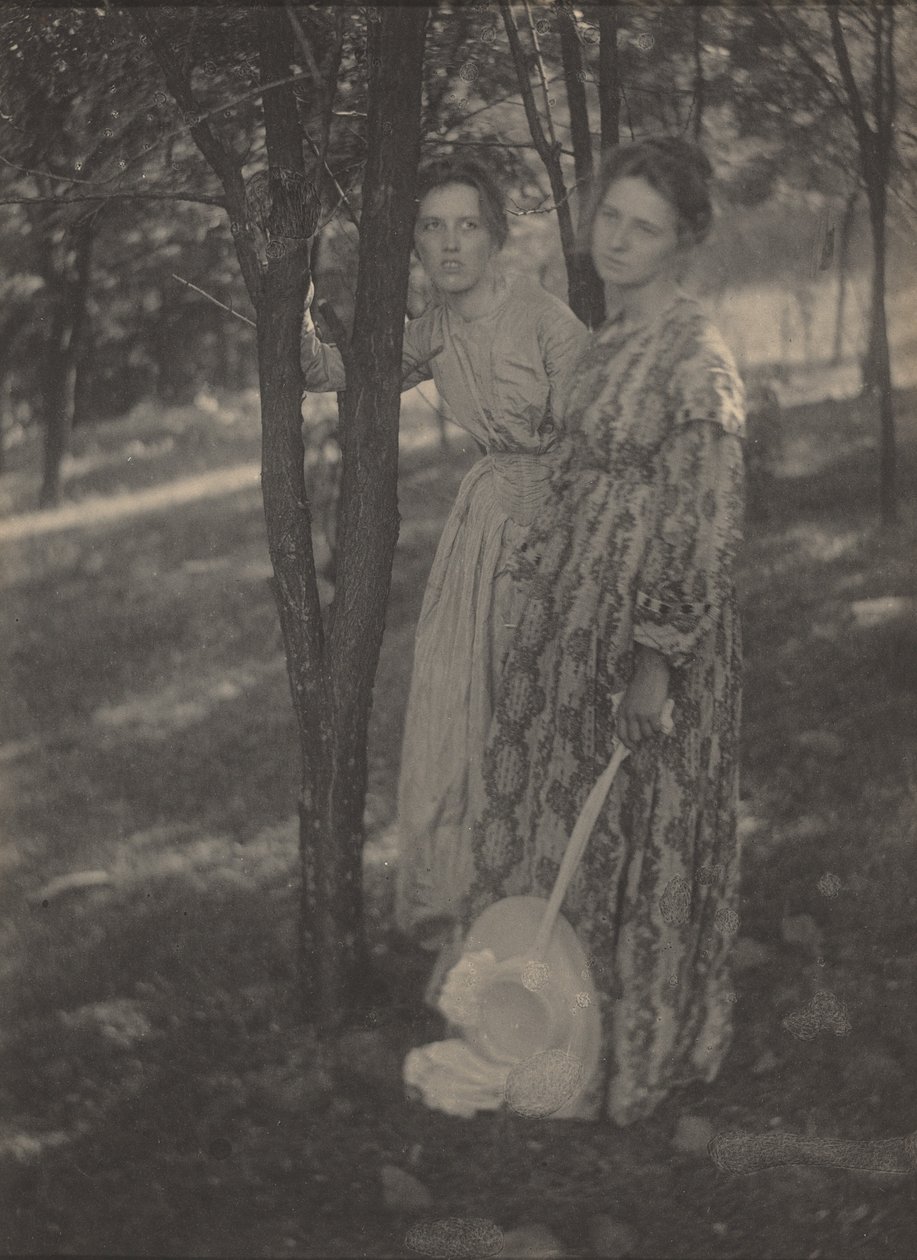 En el bosque,c. 1899 (foto) de T. M. Edmiston