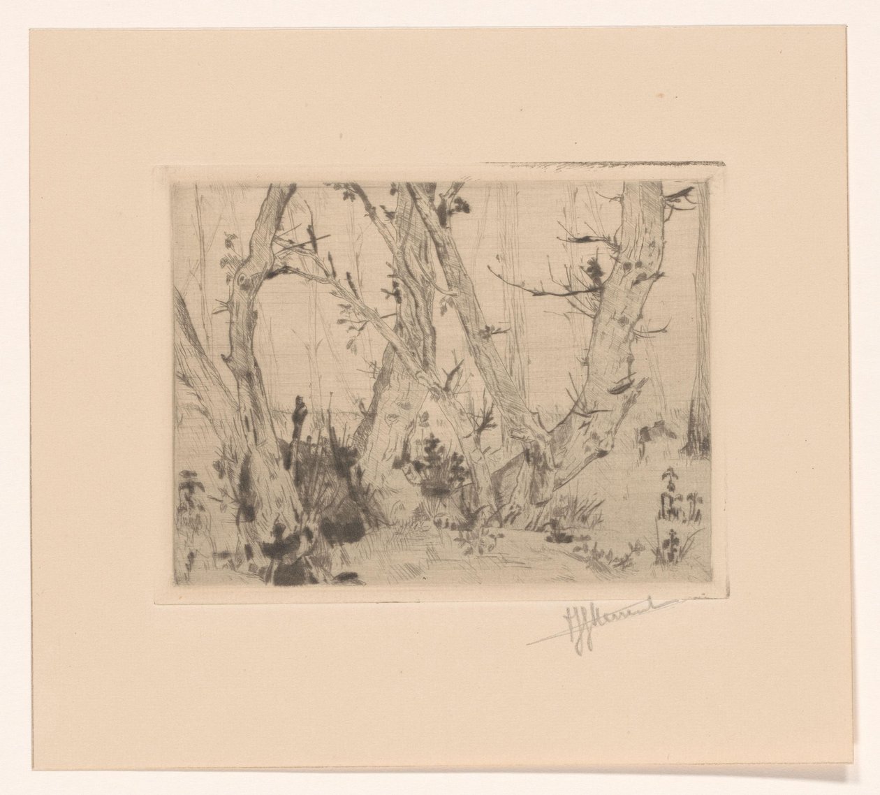 Vista del bosque de T. Sterrenburg (signed by artist)