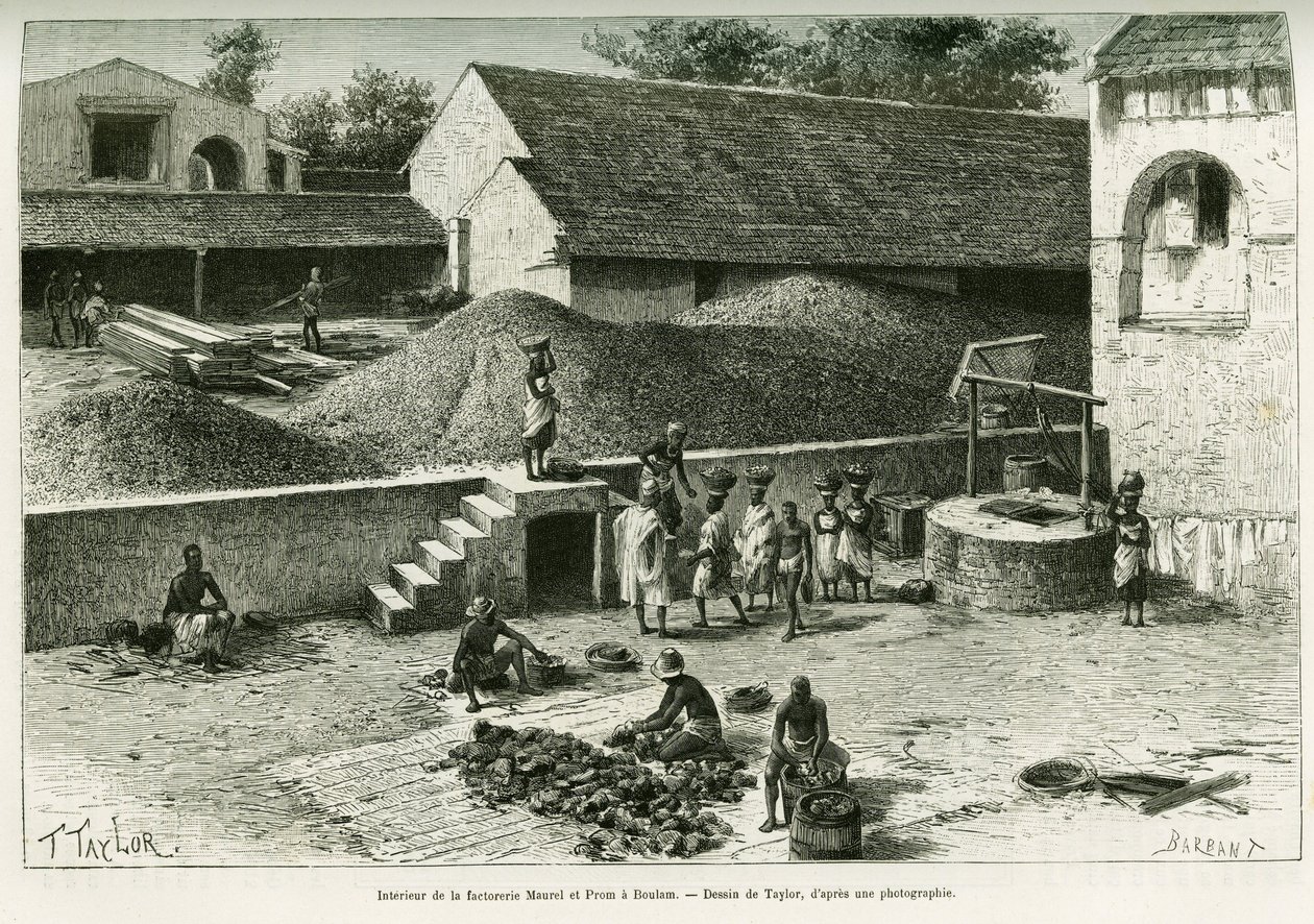 Dentro de la factoría Maurel y Prom, en Boulam, recolecta y procesamiento de cacahuetes, almendra de palma y caucho. Grabado por Taylor, después de una fotografía, para ilustrar la historia Viaje en la Senegambia y la Guinea portuguesa, en 1888, por el Cap de T Taylor